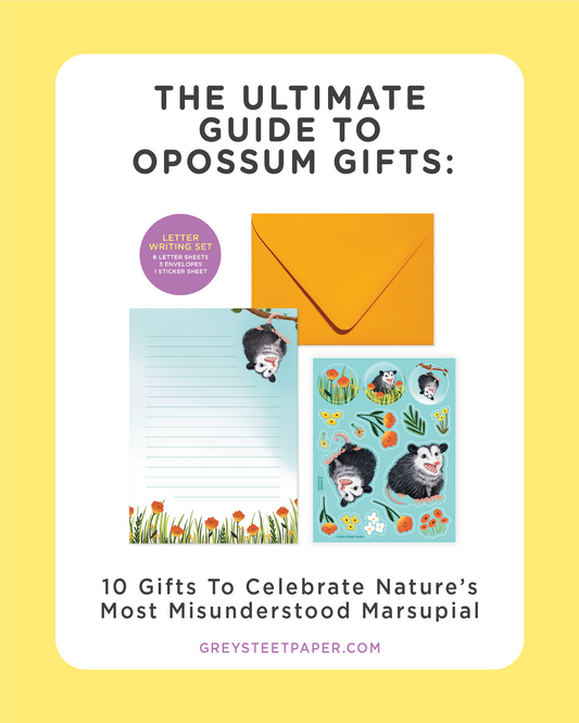 The Ultimate Guide to Opossum Gifts: Celebrate Nature's Most Misunderstood Marsupial