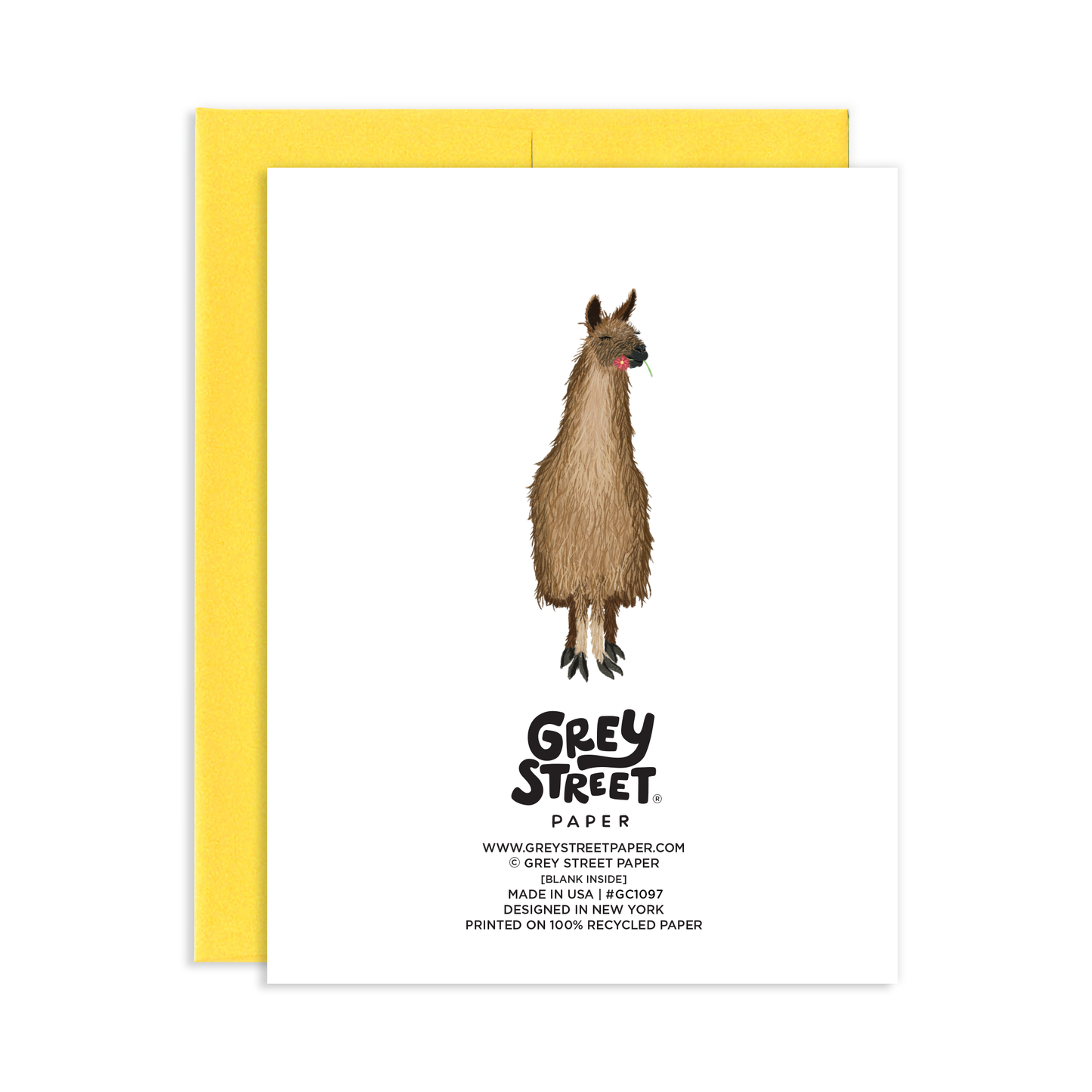 Thank You Llots Greeting Card