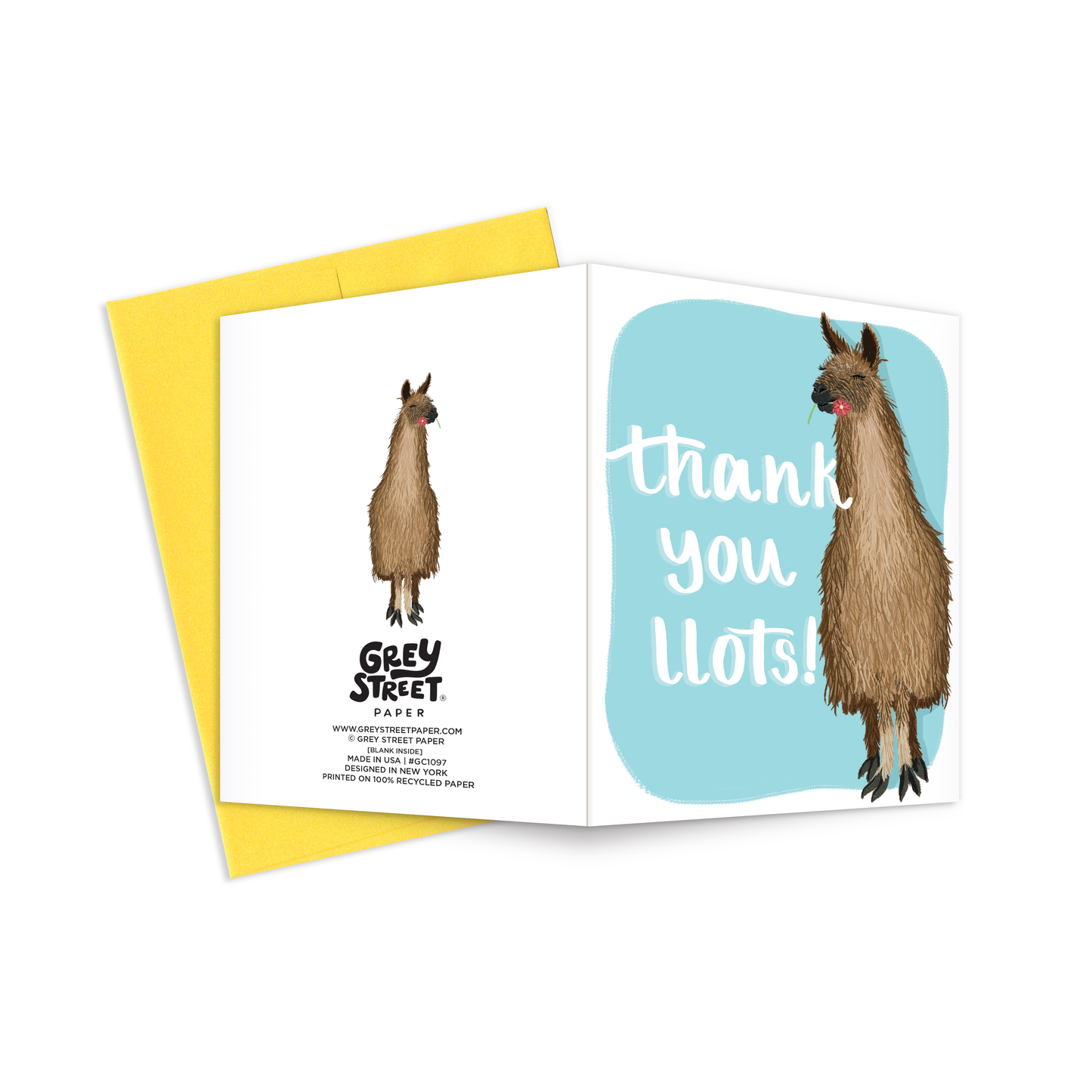 Thank You Llots Greeting Card