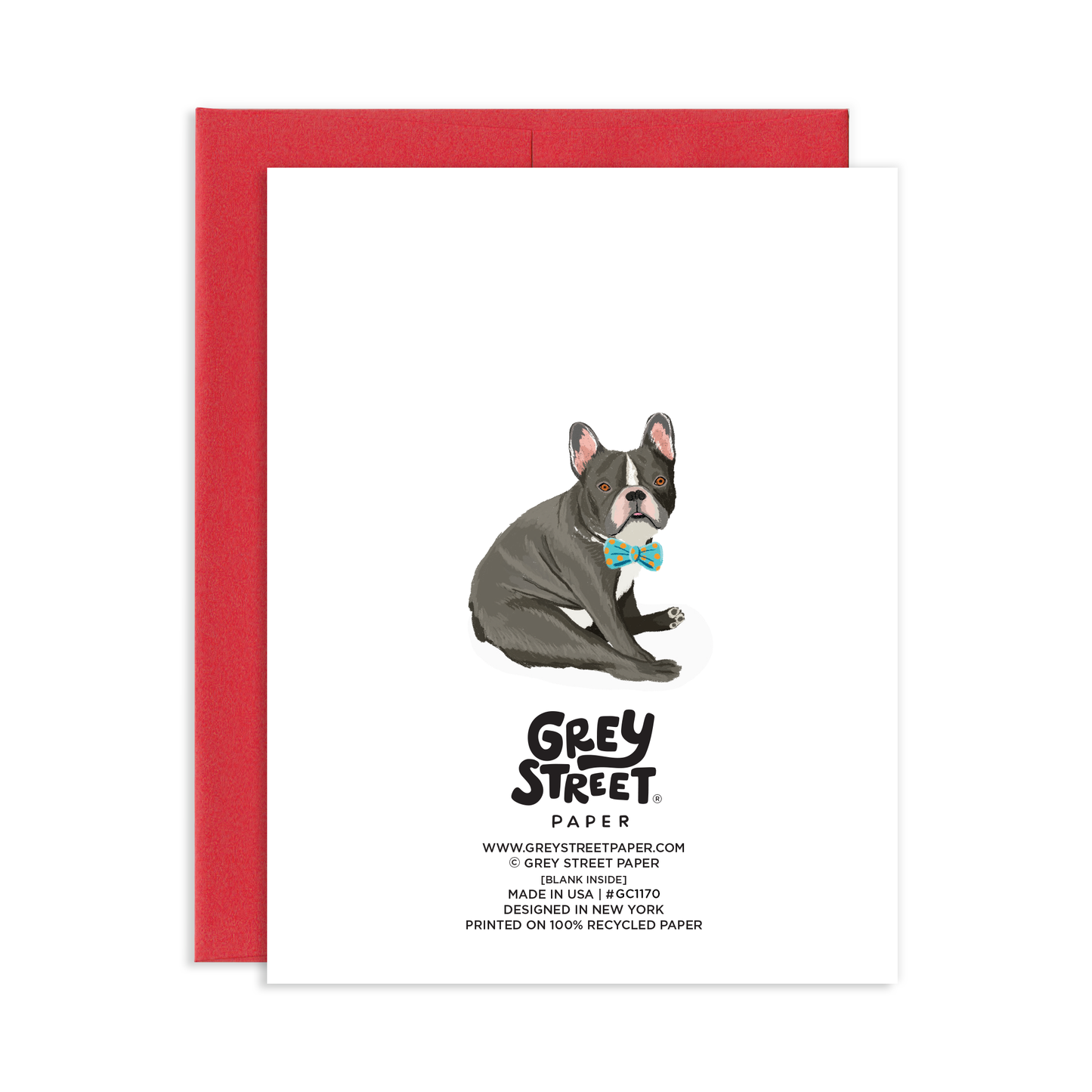 Birthday Suit Dog Greeting Card