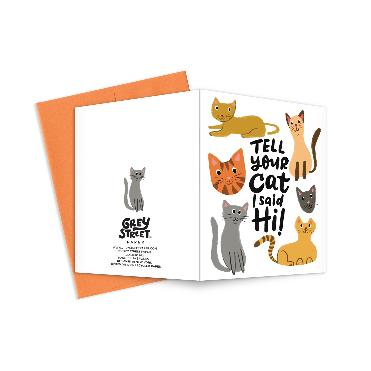 Tell Your Cat I Said Hi Greeting Card