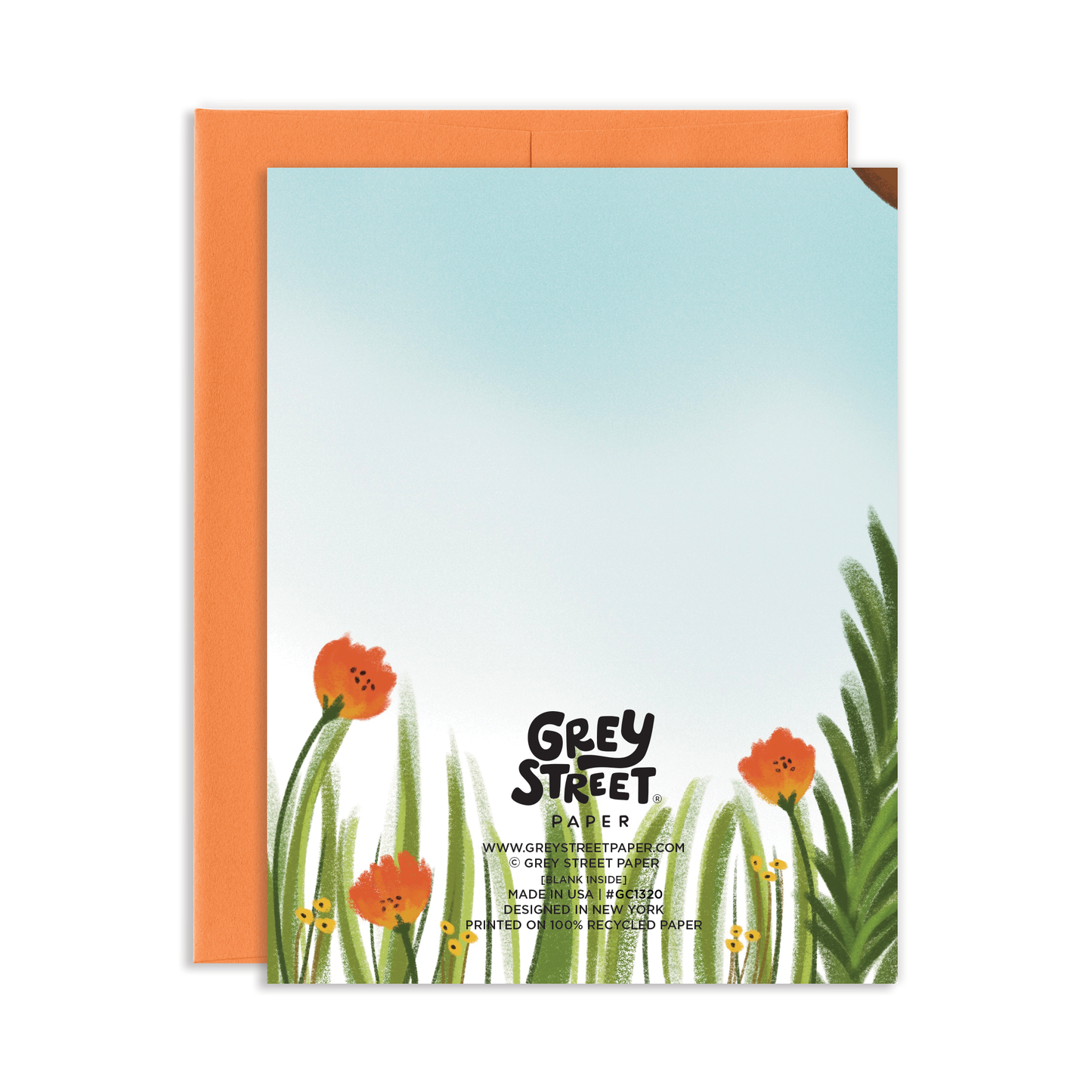 Hang In There Opossum Greeting Card