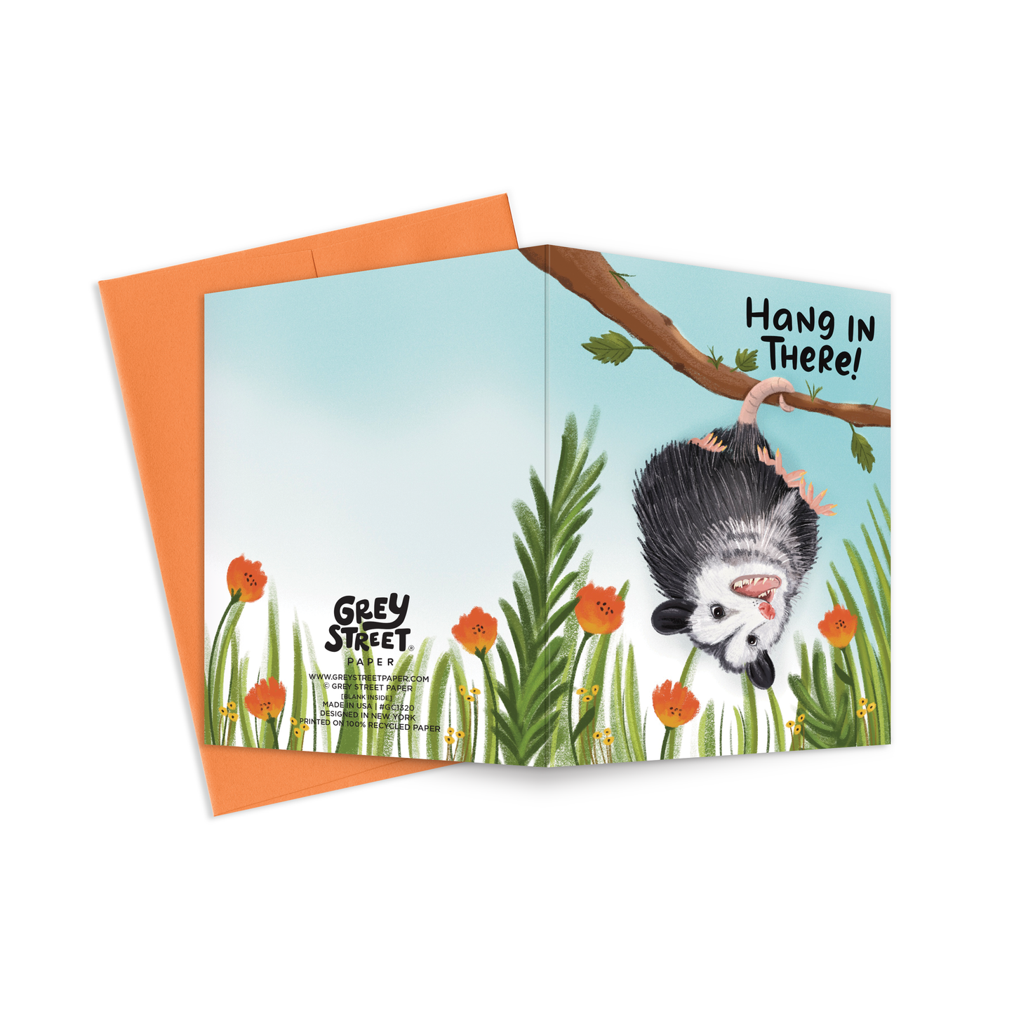 Hang In There Opossum Greeting Card