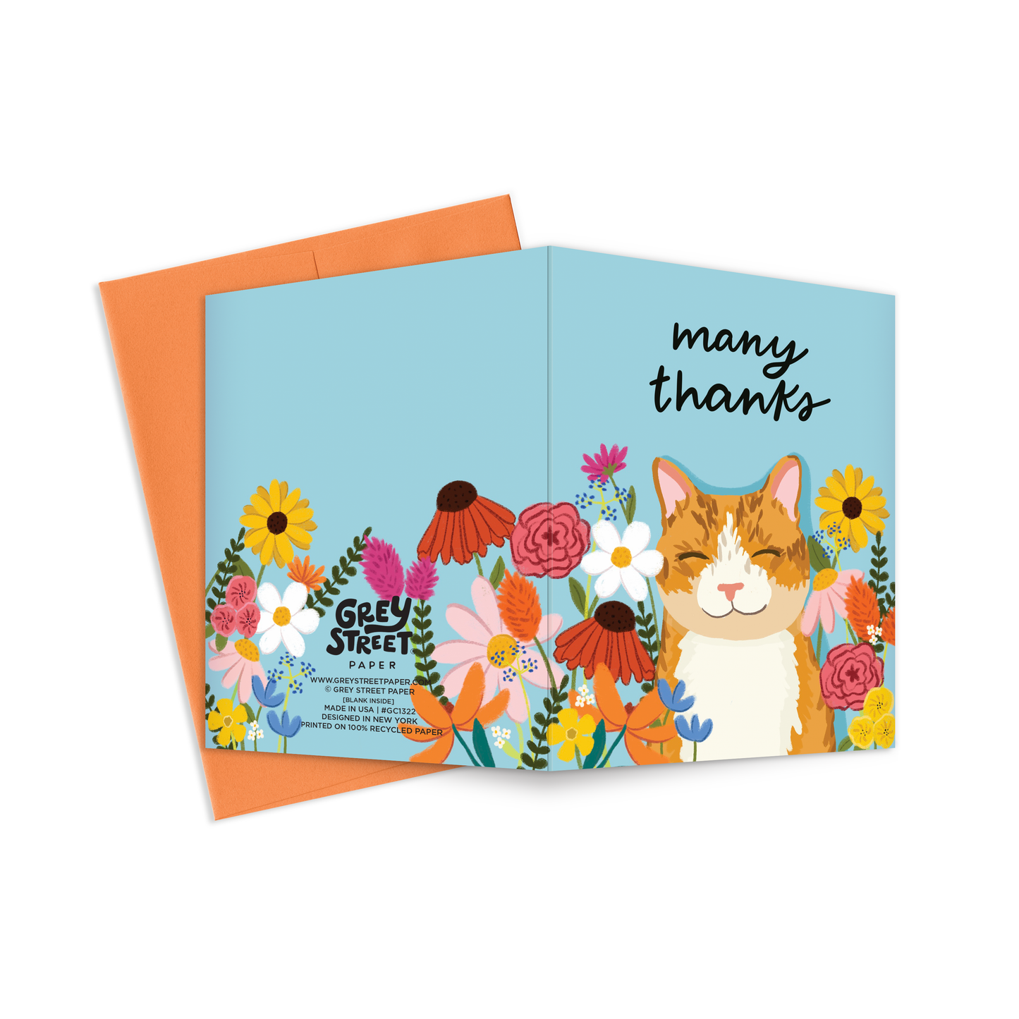 Cat Thanks Greeting Card