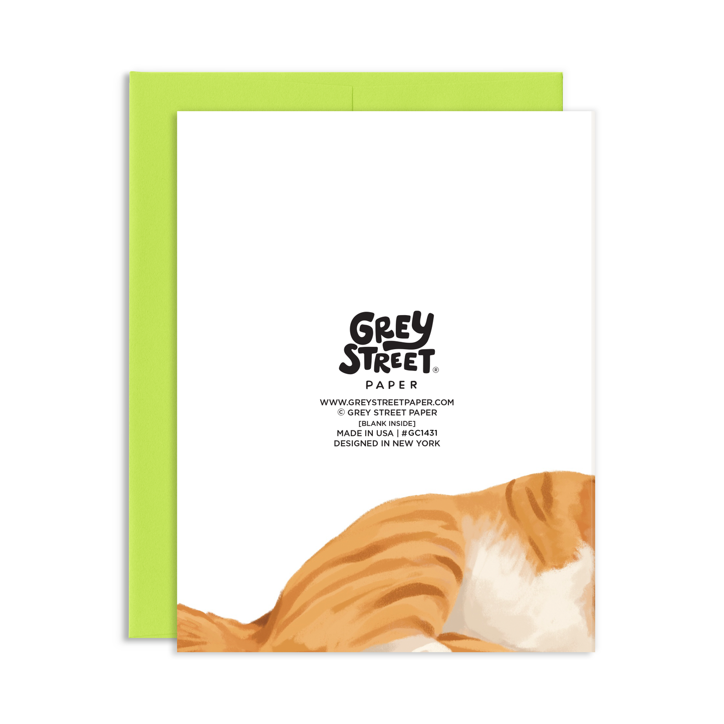 This Cat Doesn't Care About Your Birthday Birthday Greeting Card