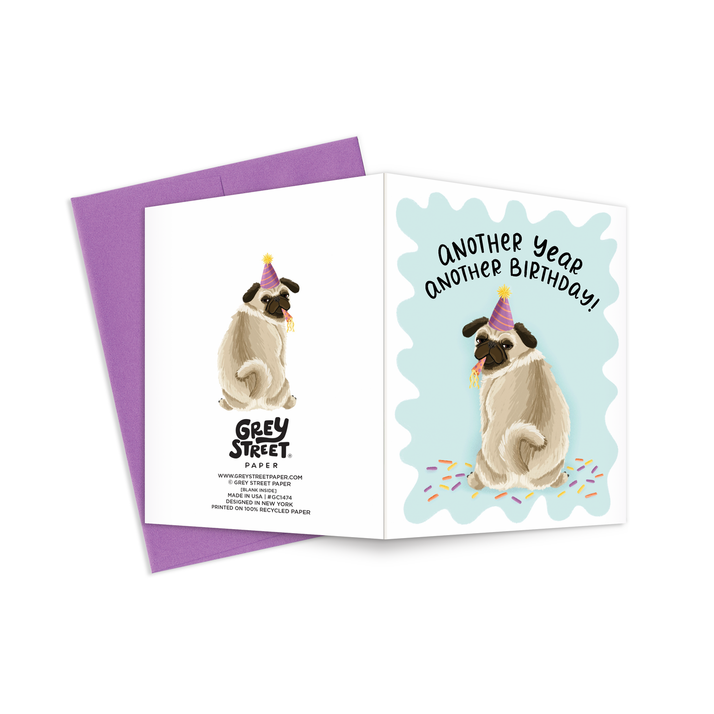 Funny Pug Another Year Another Birthday Greeting Card