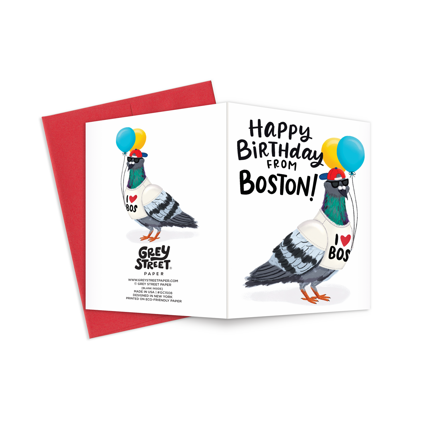Boston Pigeon Birthday Greeting Card