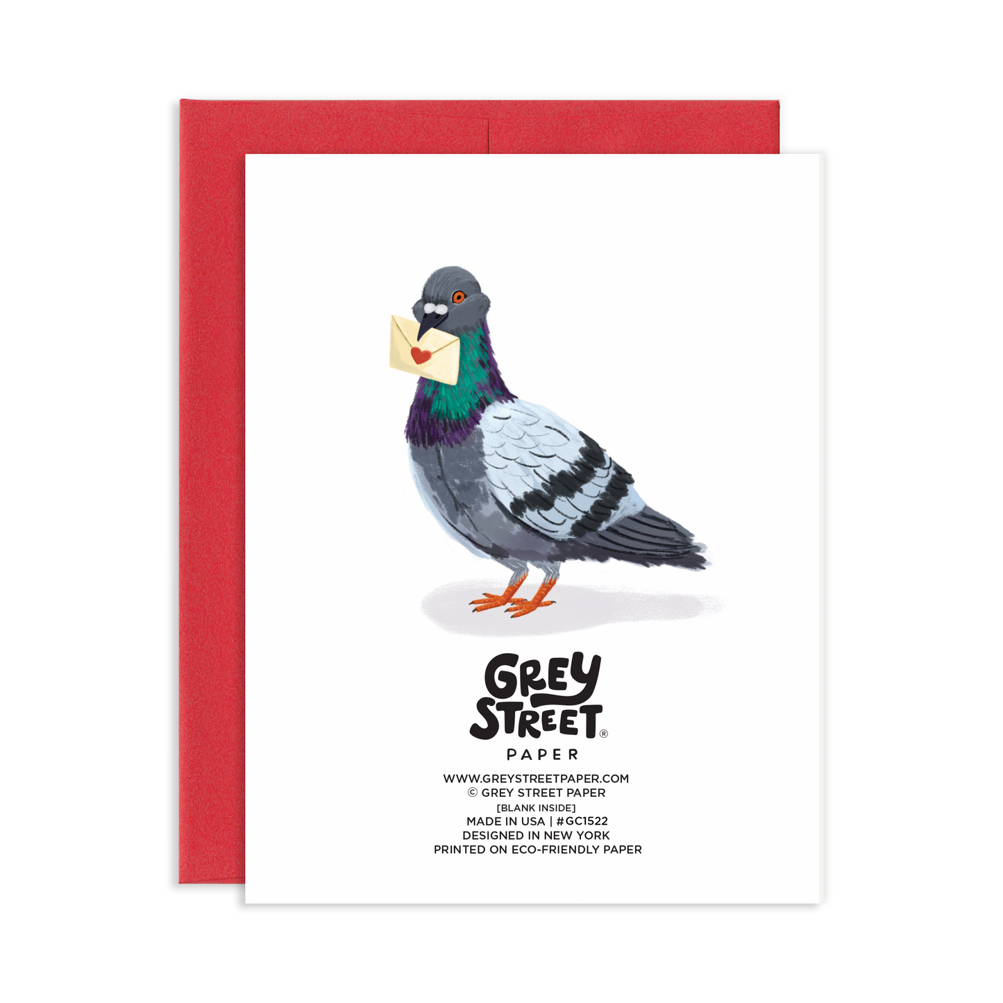 With Love From Boston Pigeon Friendship Greeting Card