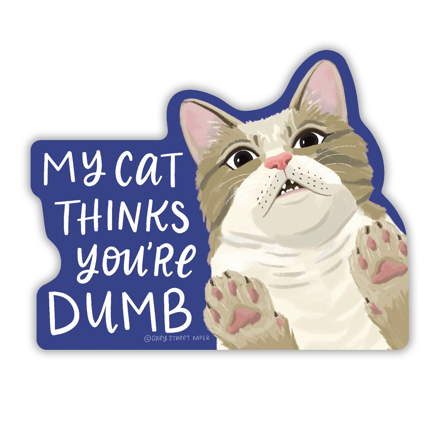 My Cat Thinks You're Dumb Funny Cat Vinyl Sticker