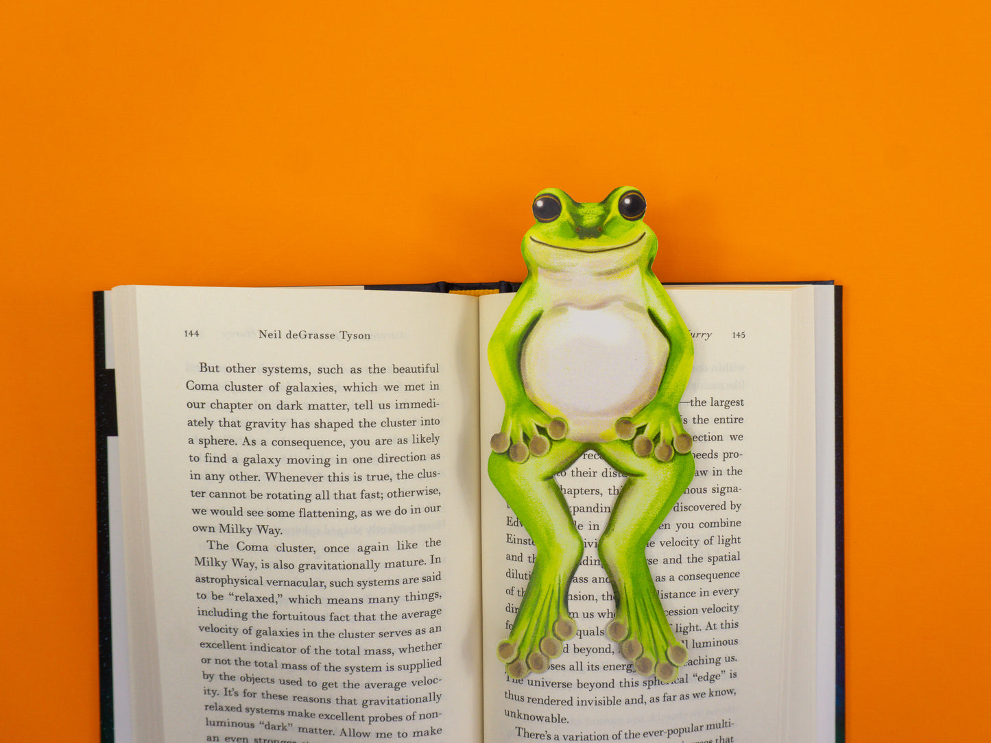 Frog Die-Cut Bookmark