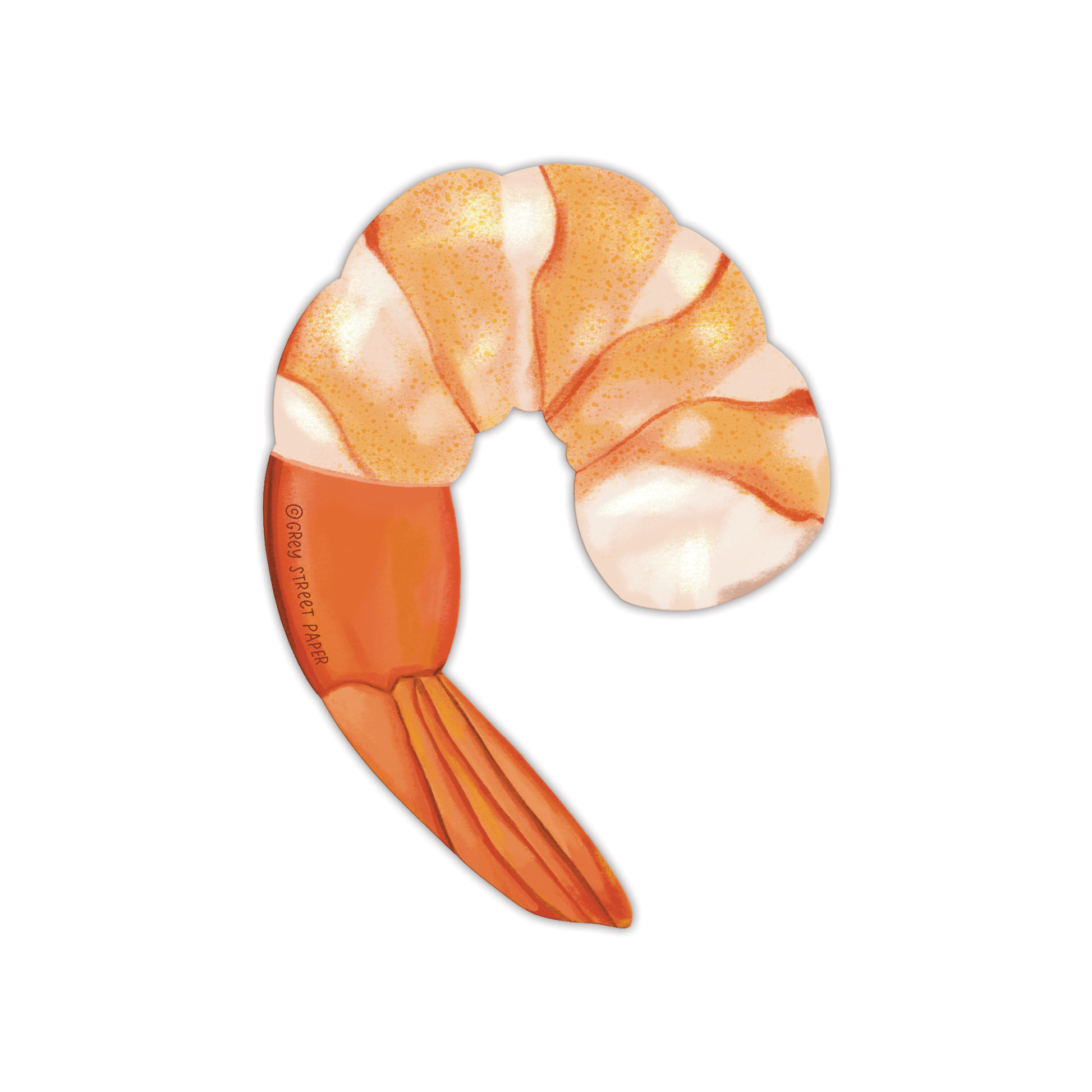Cooked shrimp cocktail bookmark showing back view with striped body and orange tail on white background