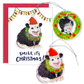 Ultimate Opossum Holiday Ornament Set