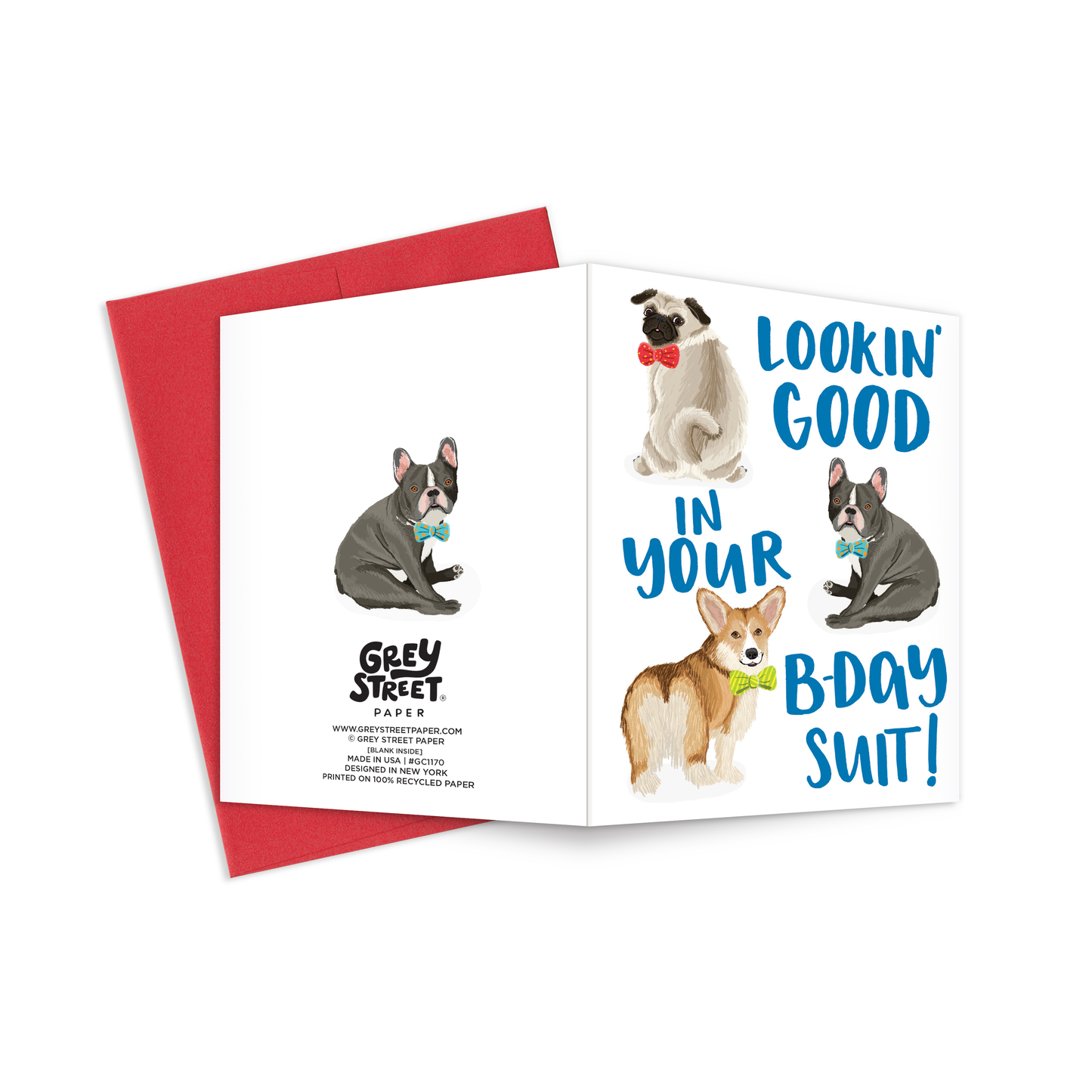 Birthday Suit Dog Greeting Card