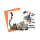 Cat Hello Birthday Greeting Card