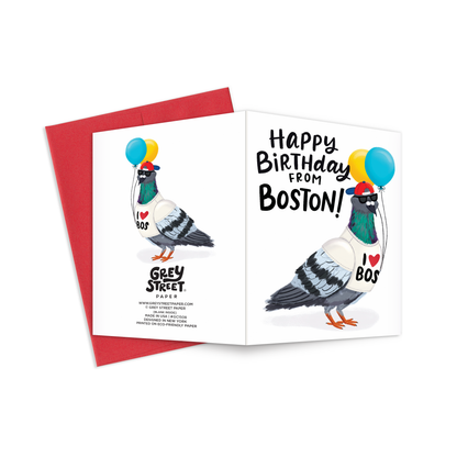 Boston Pigeon Birthday Greeting Card