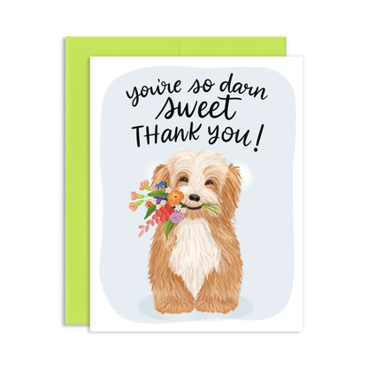 So Darn Sweet Dog Thank You Greeting Card