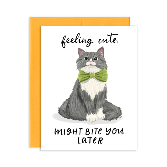 Card with a smiling cat illustration wearing a green bow tie and humorous text with sunset orange envelope