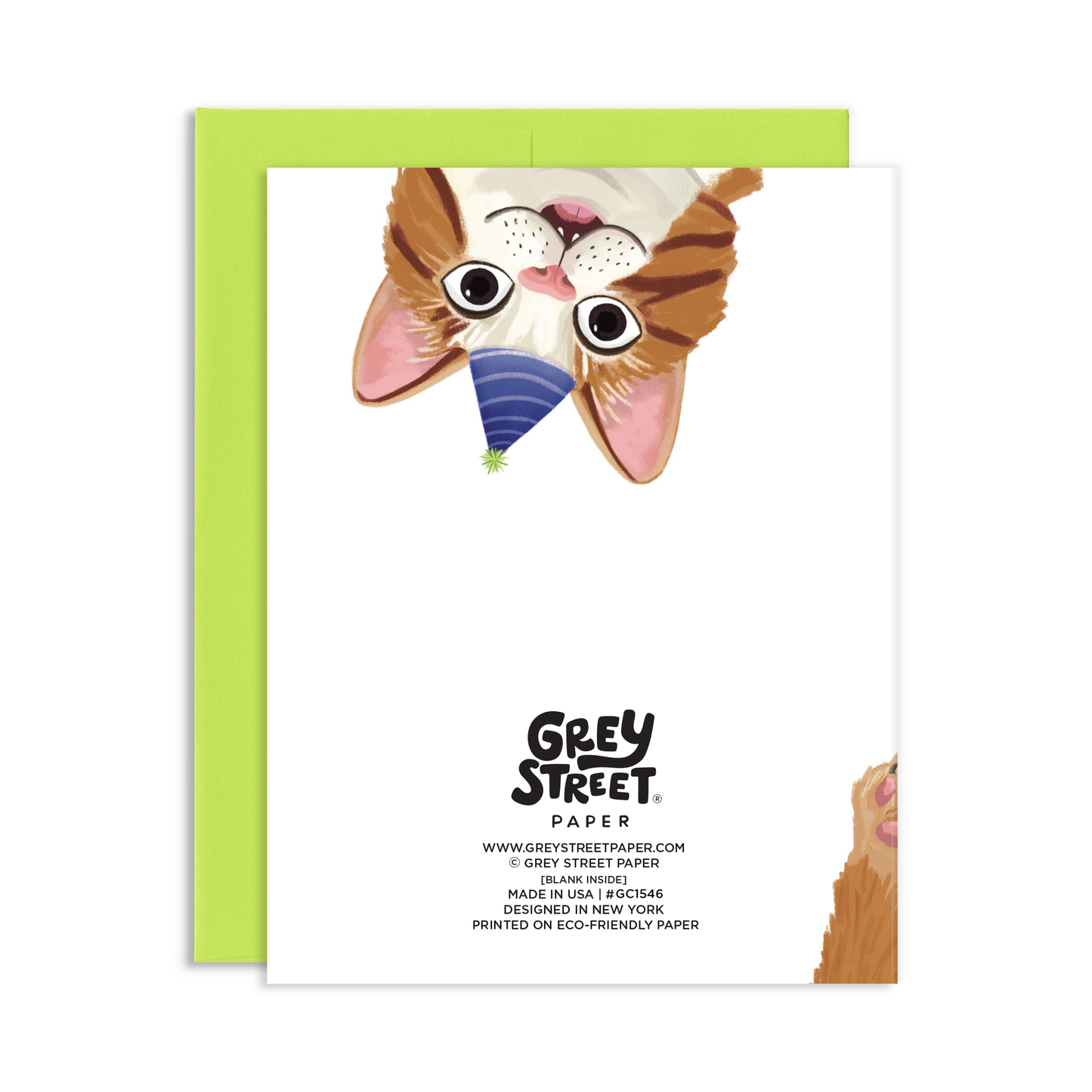 Another Year Closer Funny Cat Birthday Greeting Card