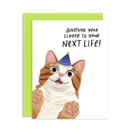 Another Year Closer Funny Cat Birthday Greeting Card