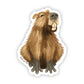 Smiling Capybara Sticker