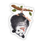 Hanging Opossum Sticker