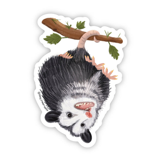 Hanging Opossum Sticker