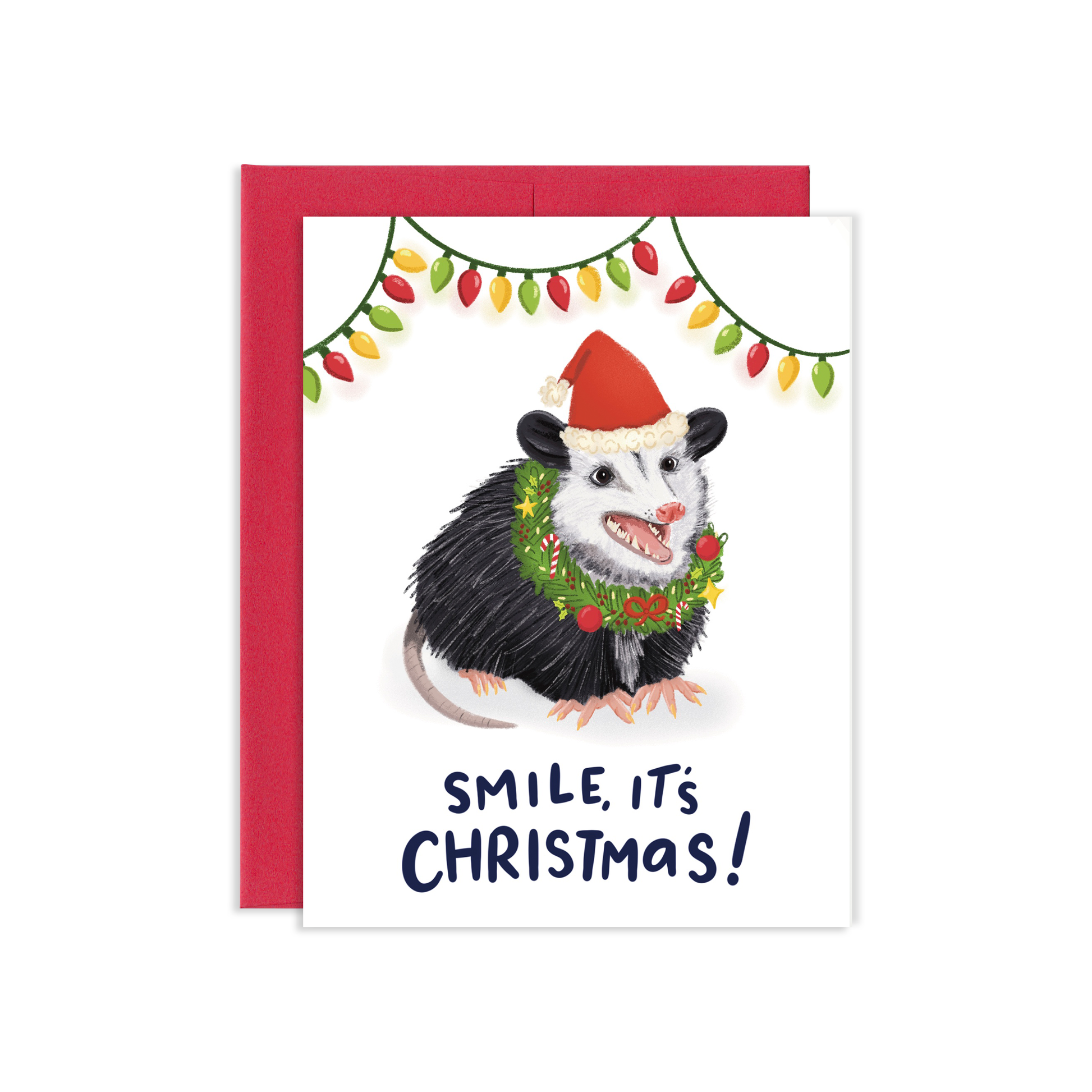 Possum Meets Santa Funny Christmas Card
