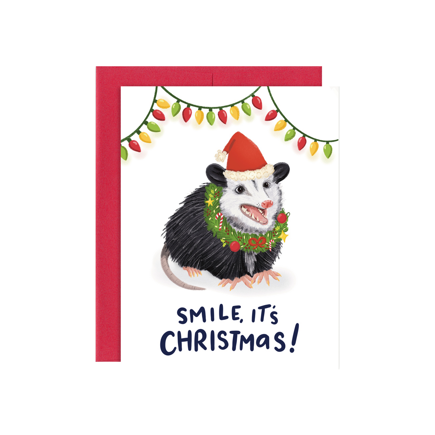 Opossum Holiday Ornament Set
